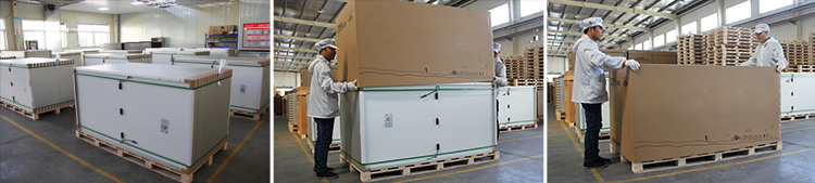 Futuresolar modules packing